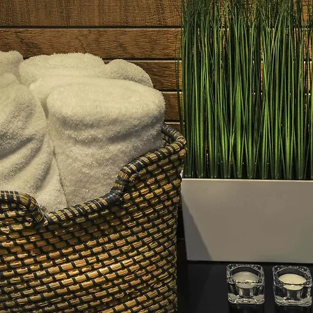 Hotel Mercure Nantes Ouest Zenith Saint-Herblain